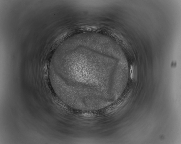 X0000099491395200806121341