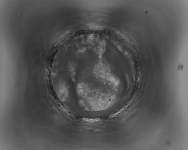 X0000099491397200806121341