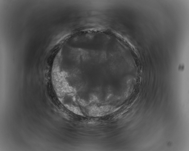 X0000099491399200806121342