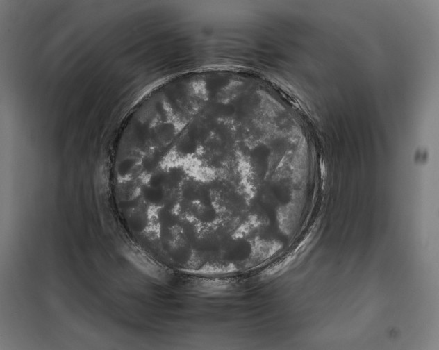 X0000099491401200806121342