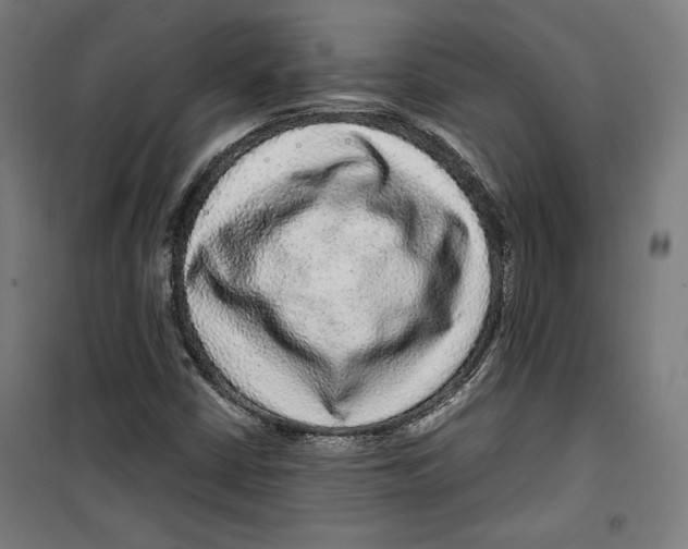 X0000099491402200806121342