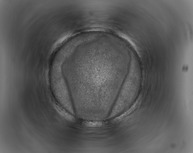 X0000099491403200806121342