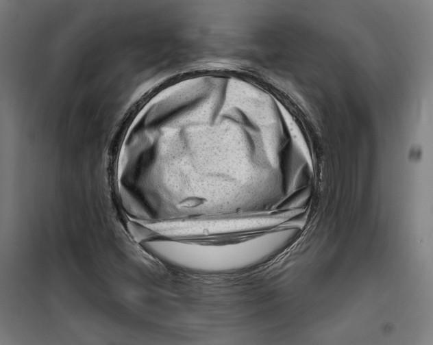 X0000099491404200806121342