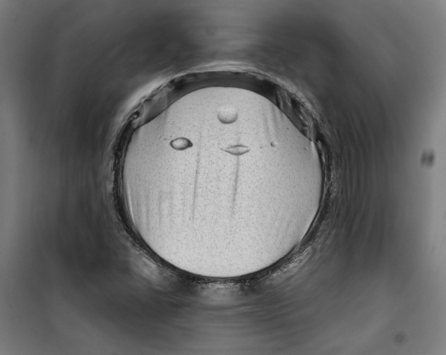 X0000099491406200806121342