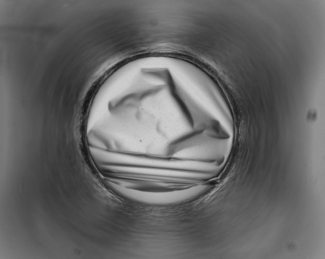 X0000099491410200806121342