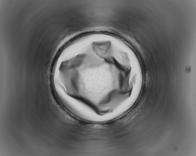 X0000099491412200806121342