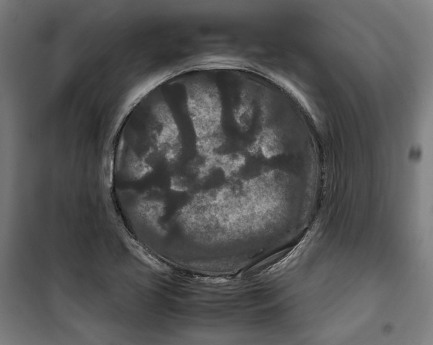 X0000099491413200806121342