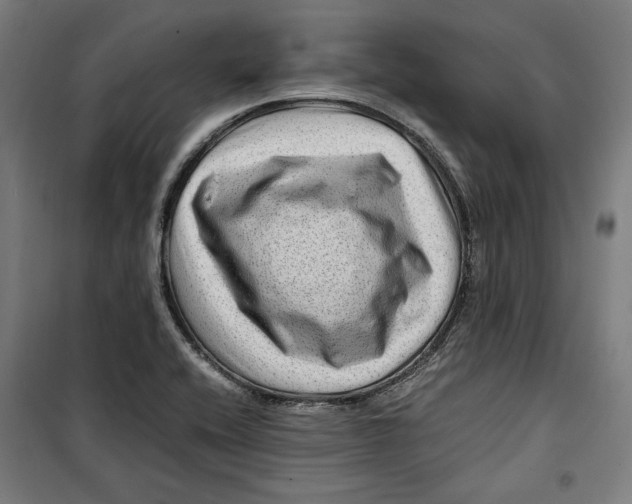 X0000099491416200806121342