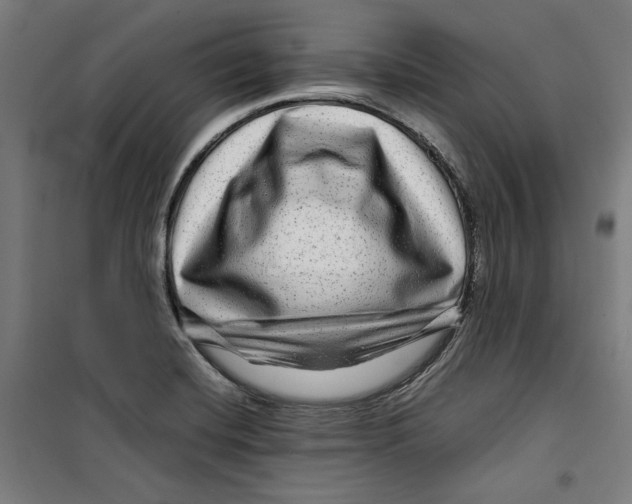 X0000099491420200806121342