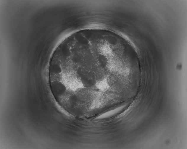 X0000099491421200806121342