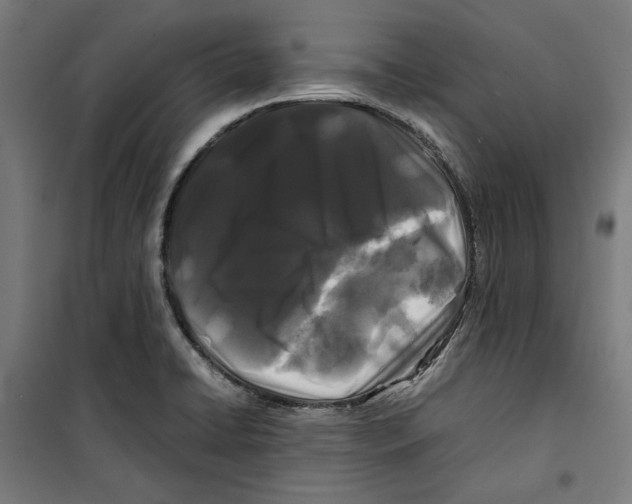 X0000099491422200806121342