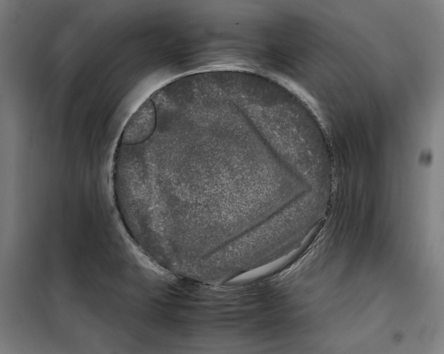 X0000099491423200806121342