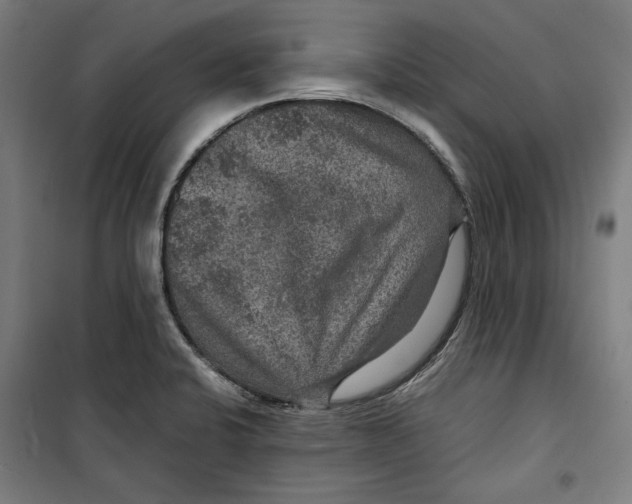 X0000099491424200806121342