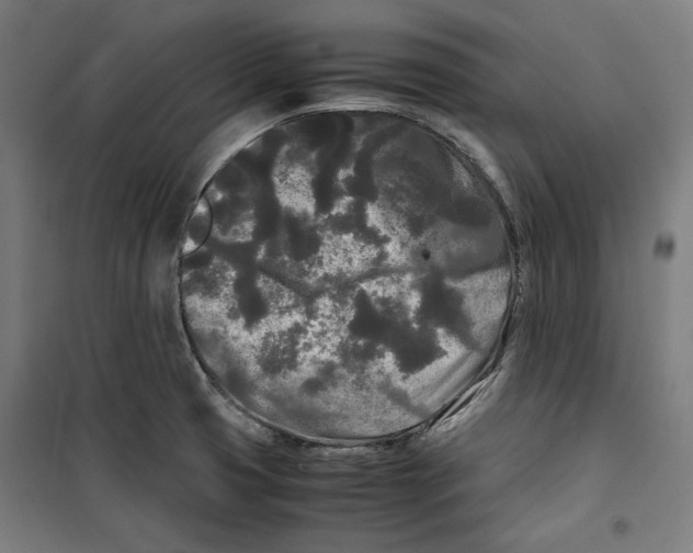 X0000099491425200806121342