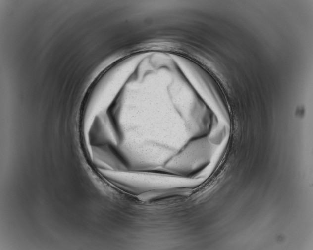 X0000099491426200806121342