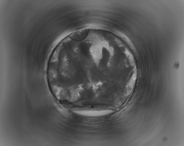 X0000099491427200806121342