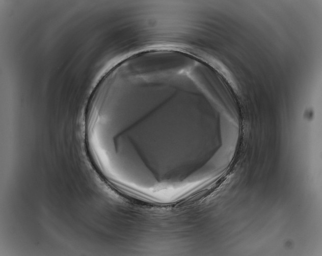 X0000099491428200806121342