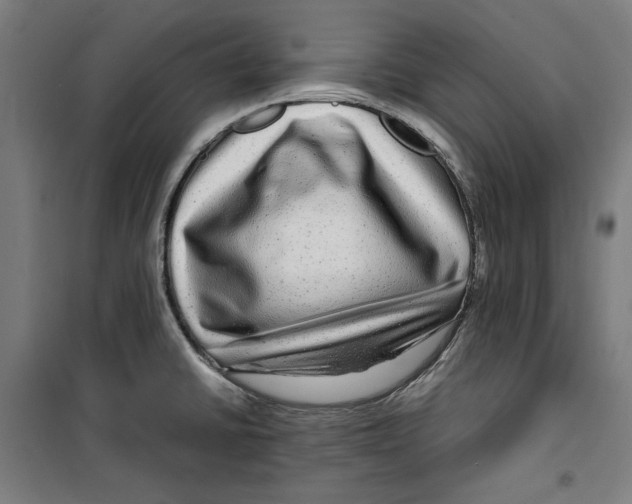 X0000099491430200806121342