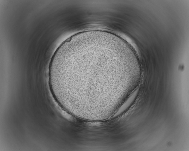 X0000099491431200806121342