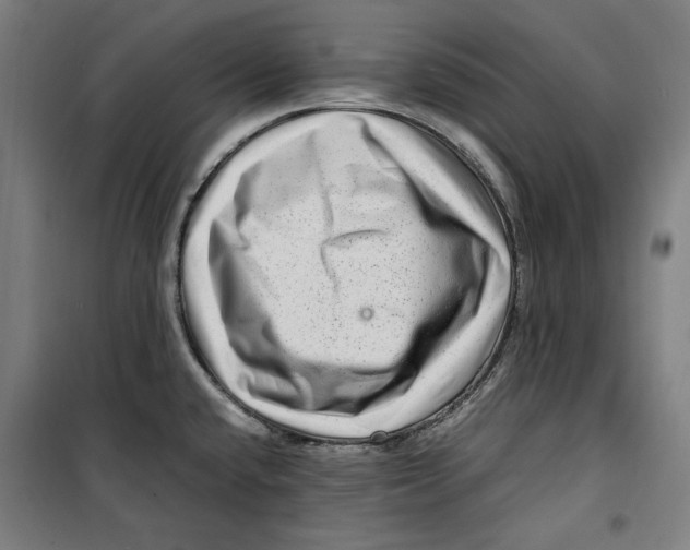 X0000099491432200806121342