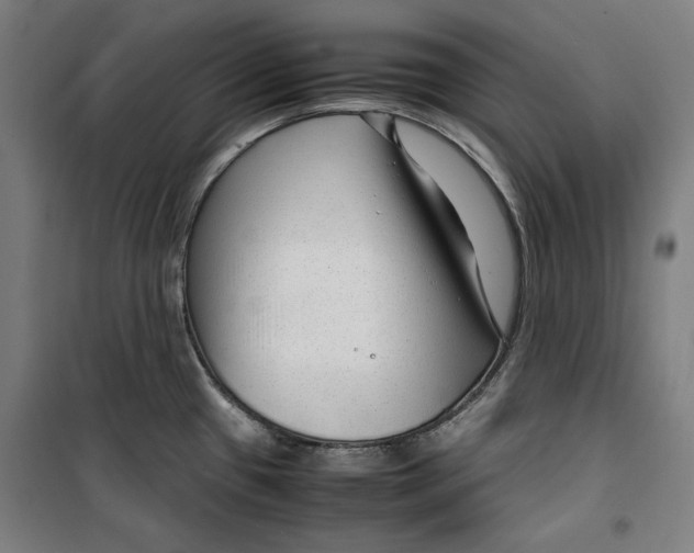 X0000099491433200806121342