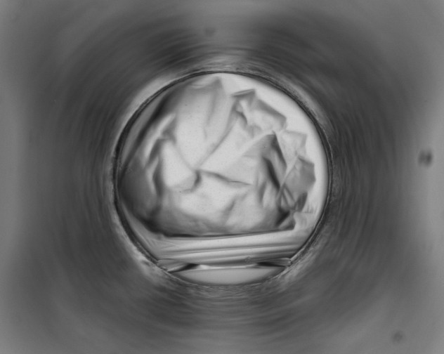 X0000099491434200806121342