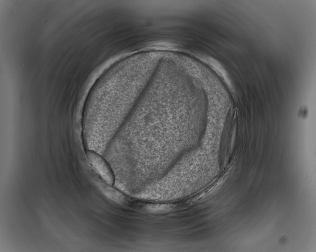 X0000099491435200806121342