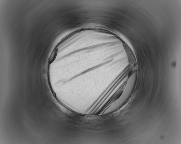 X0000099491437200806121342