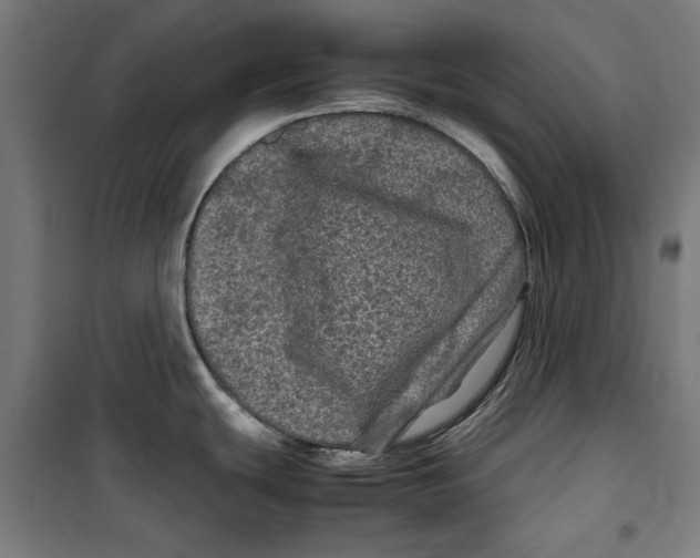 X0000099491439200806121342