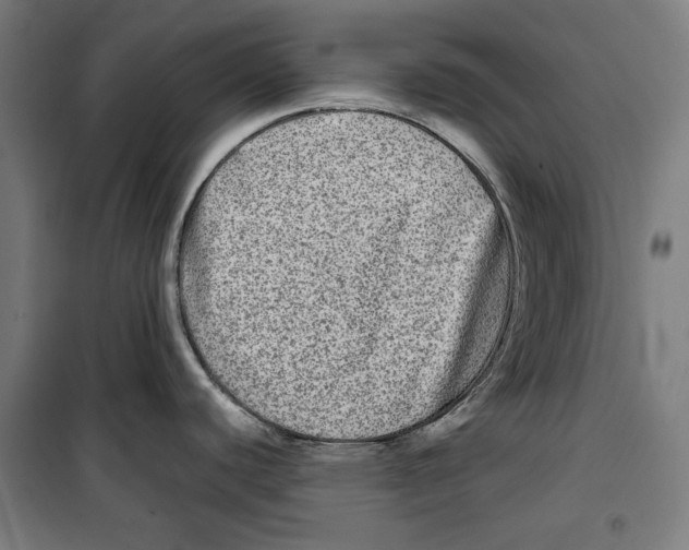 X0000099491440200806121342