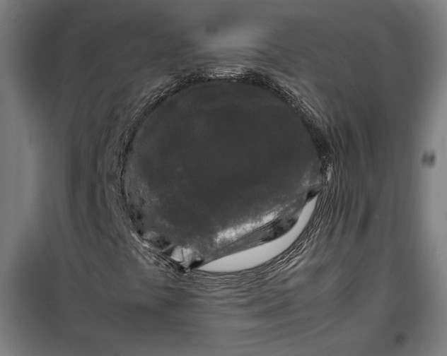 X0000099491441200806121341