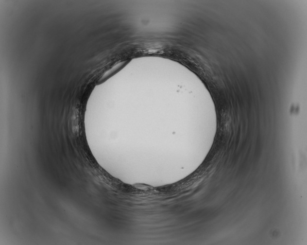 X0000099491442200806121341