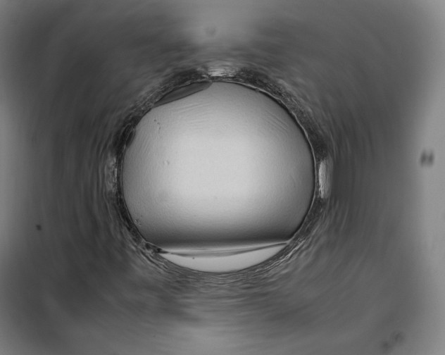 X0000099491443200806121341