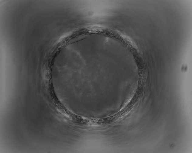 X0000099491445200806121341