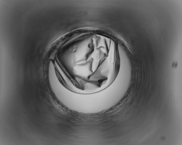 X0000099491448200806121341