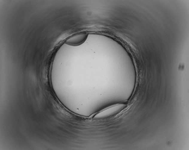 X0000099491451200806121341