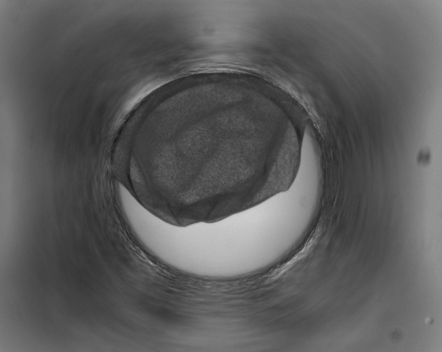 X0000099491453200806121341