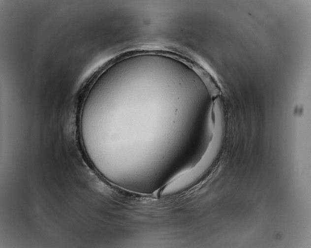 X0000099491456200806121341