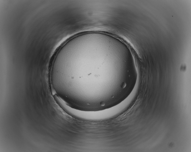 X0000099491460200806121341