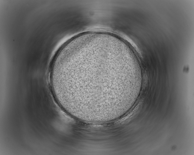 X0000099491462200806121341