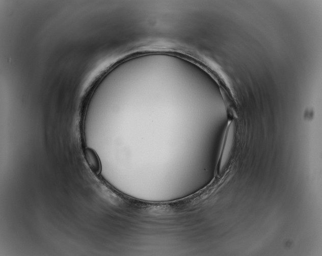 X0000099491464200806121341