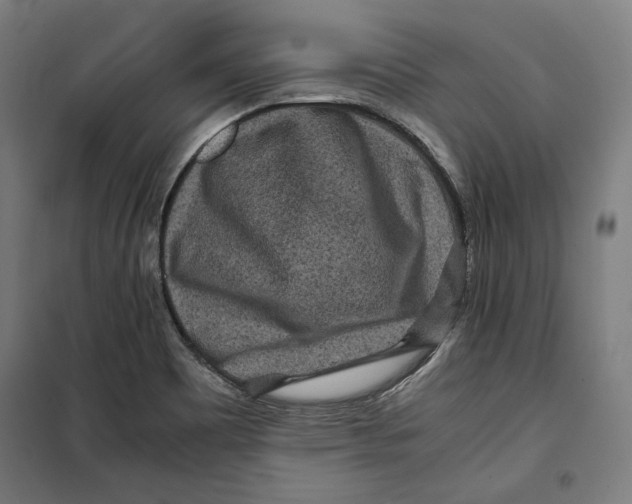 X0000099491465200806121341