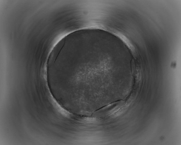 X0000099491468200806121341