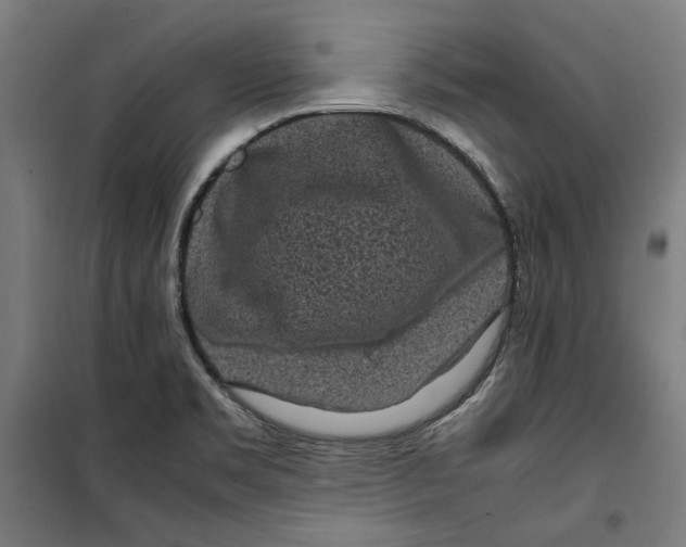 X0000099491469200806121341