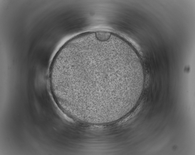 X0000099491470200806121341