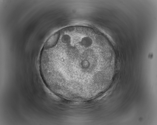 X0000099491471200806121341