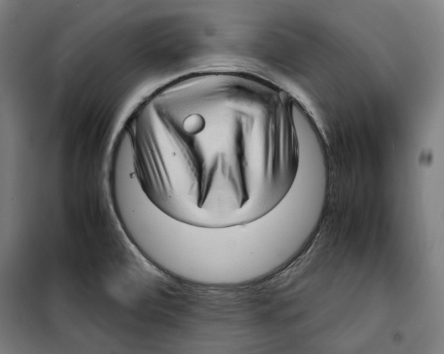 X0000099491472200806121341