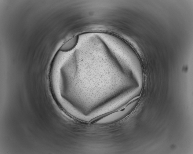 X0000099491475200806121341