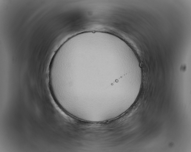 X0000099491479200806121341