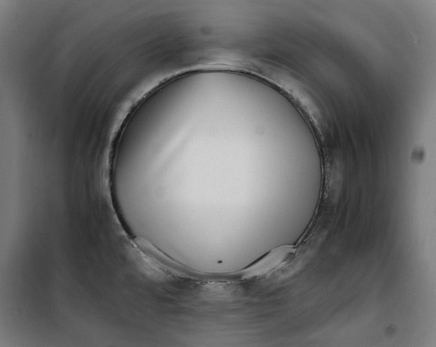 X0000099491480200806121341